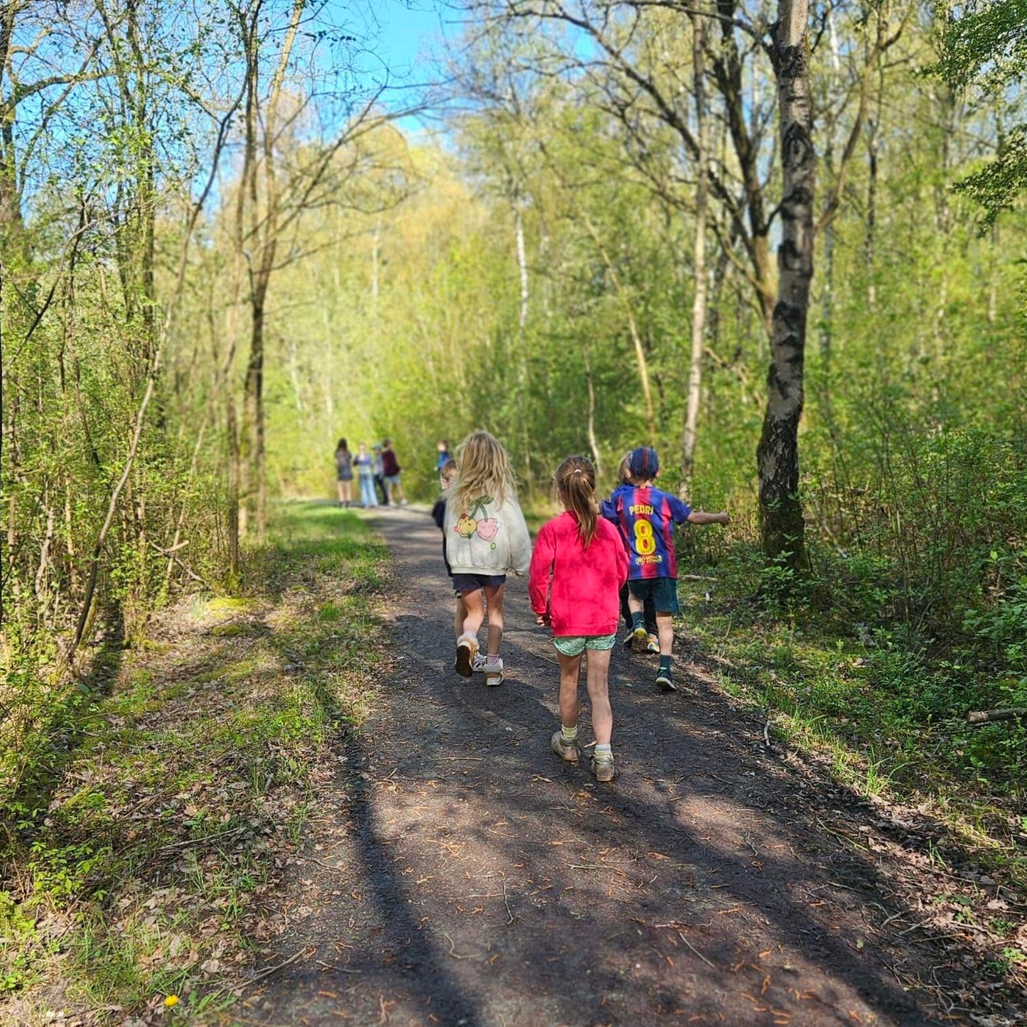 Boîte à nature Forêt en boîte