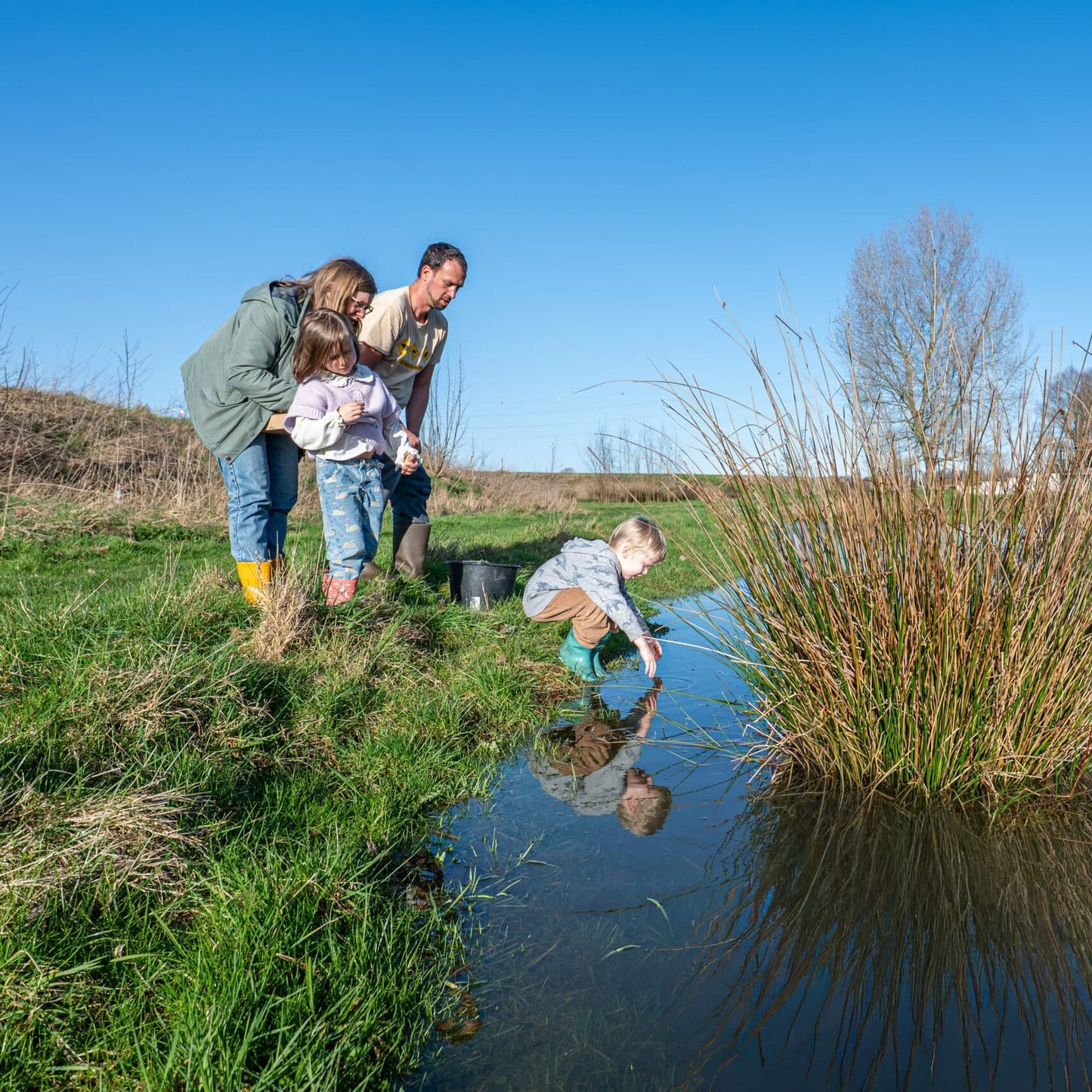 Natuurspeeldoos Seizoensdoos Kikkerdoos