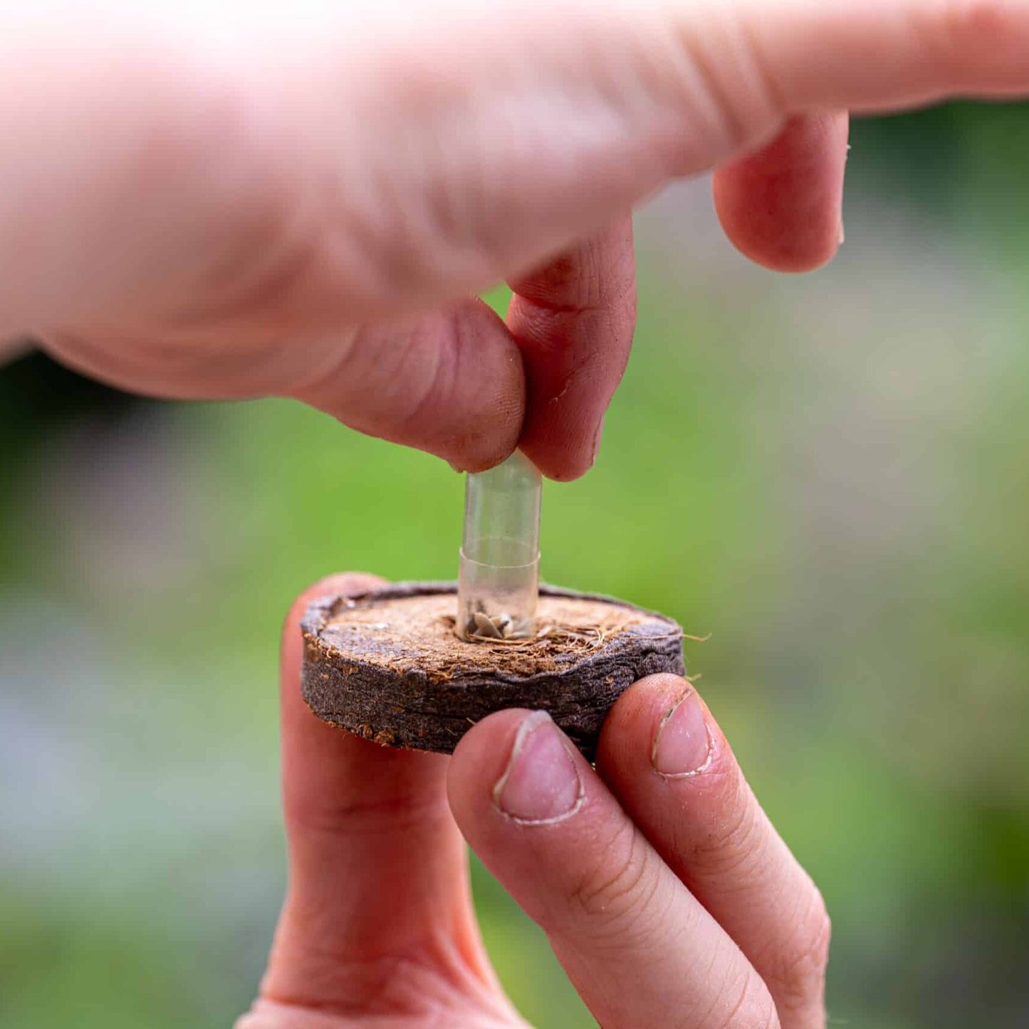 Natuurspeeldoos Seizoensdoos Kikkerdoos
