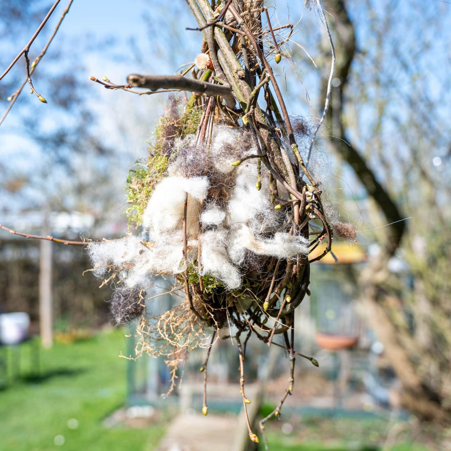 Natuurspeeldoos Seizoensdoos Kikkerdoos