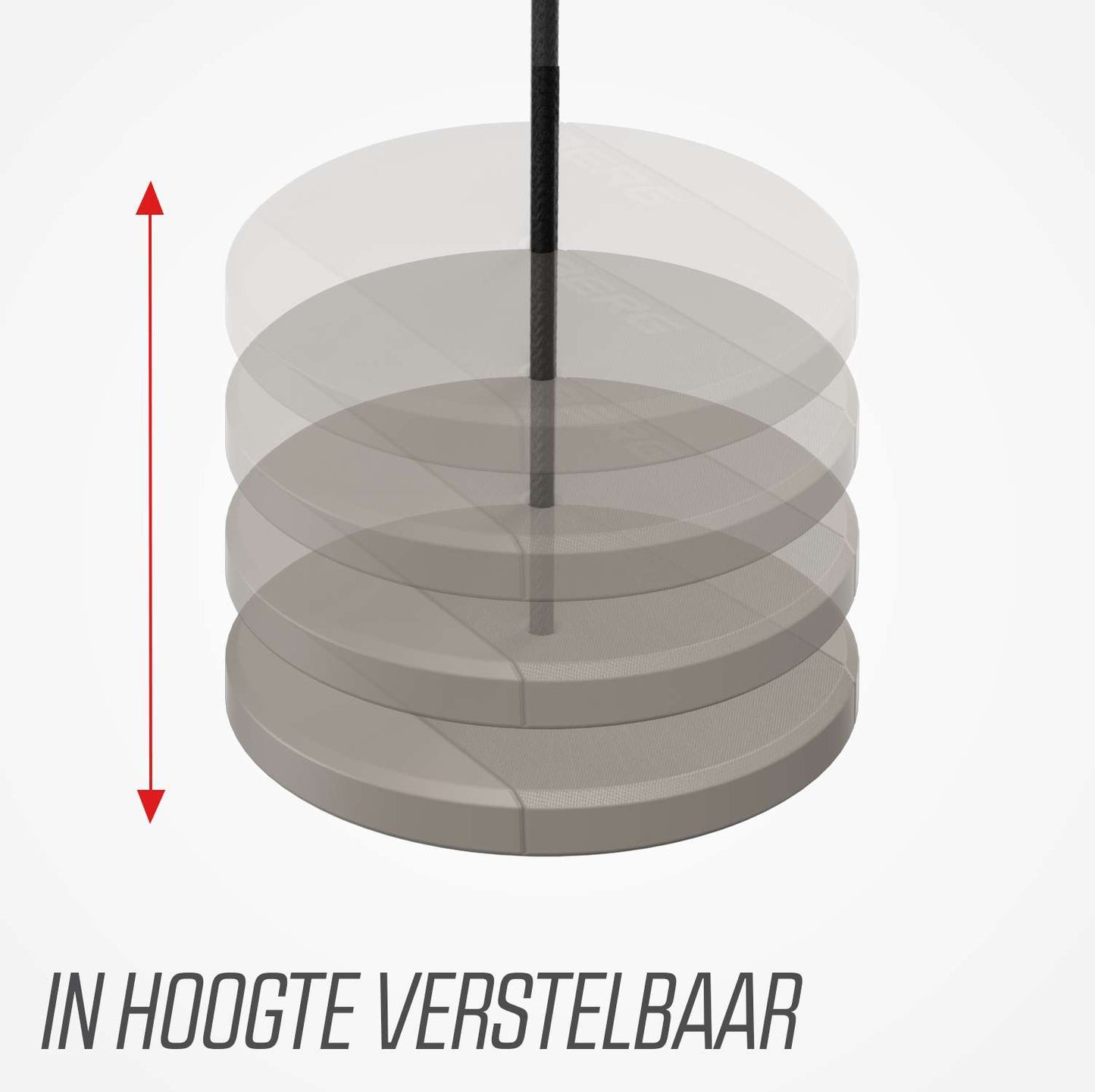 Balançoire à disque BERG