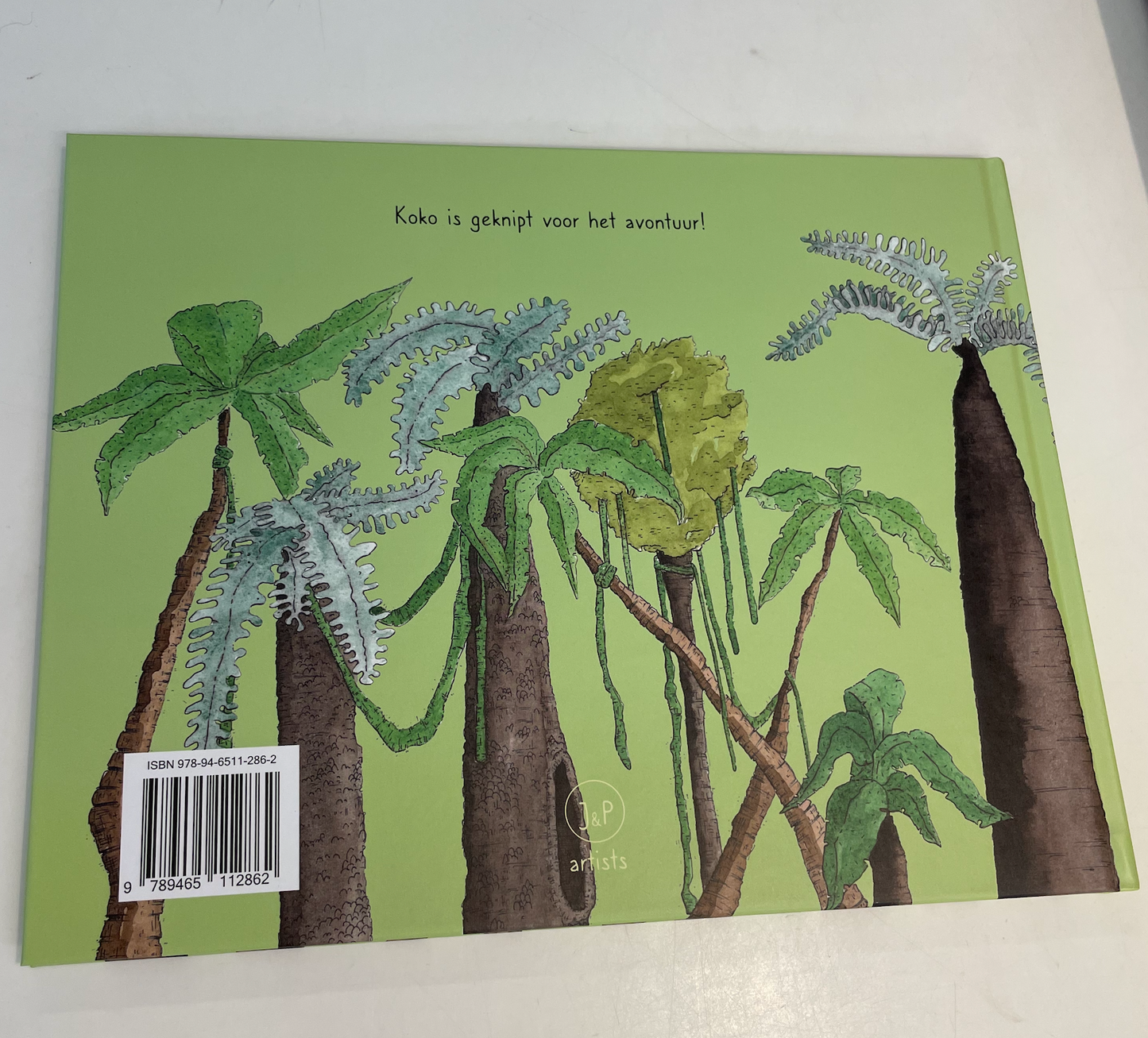 Kinderboek Koko de kleine krab