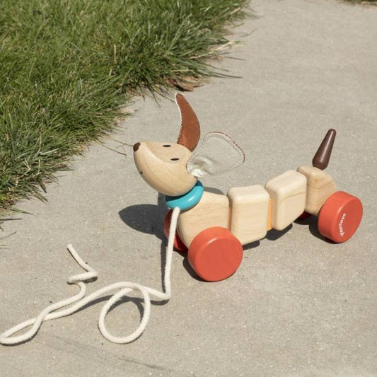 Plan Toys Happy Puppy