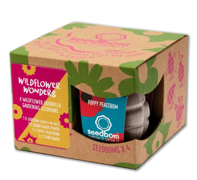 Kabloom Wildflower Wonders Seedbom Gift Box