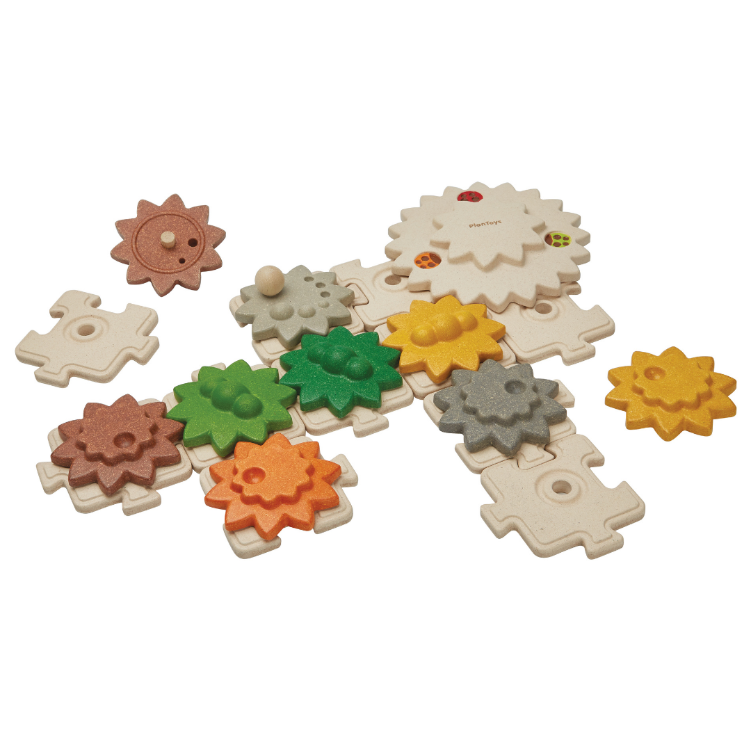 Gears & puzzles giant